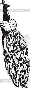 Peacock - white & black vector clipart