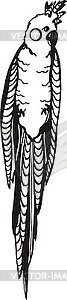 Cockatoo - vector clipart