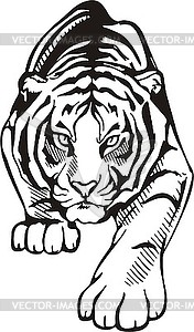 Крадущийся тигр - изображение векторного клипарта