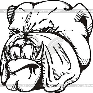 Bulldog tattoo - vector clipart