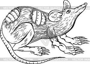 Cyborg rat - vector image