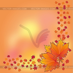 Autumn background with maple leaves - vector clip art