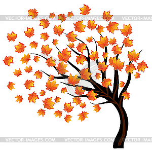 Осенний клен на ветру - рисунок в векторном формате