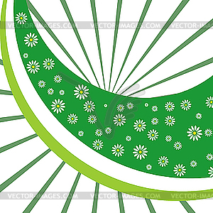 Camomile on green background - vector clip art