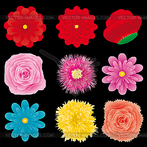 Flowers set - vector image