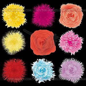 Flowers set - vector clipart