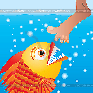 Piranha - vector image