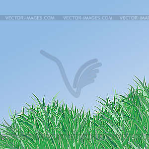 Summer background - vector clipart