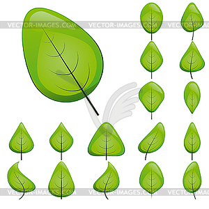 Коллекция листовых иконок - клипарт в векторе / векторное изображение