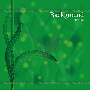 Summer background - vector clipart