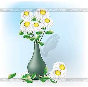 Camomiles, bouquet - vector image