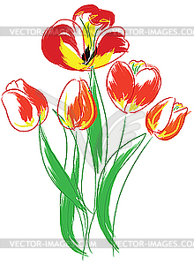 Tulips bouquet - vector image