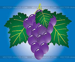 Grape - vector clipart