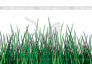 Green grass - vector clipart / vector image