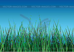Green grass - vector clip art