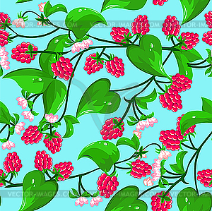 Raspberry seamless  - vector image