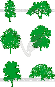 Green trees - vector image