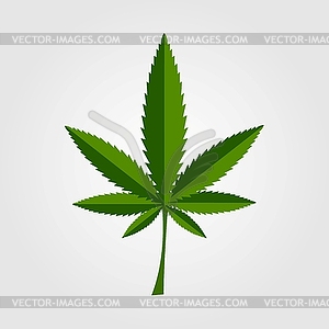 Green cannabis leaf icon design - vector image