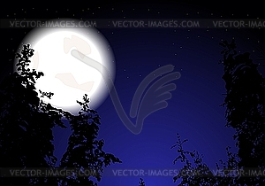 Night forest - vector clip art