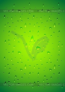 Green water drops - vector image