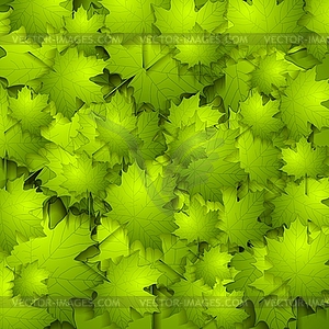 Green summer leaves texture - vector image