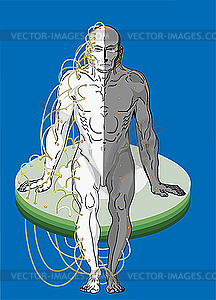 Man cord  - vector image