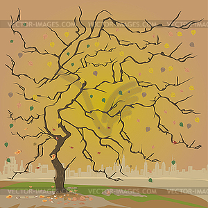 Autumn trees  - vector clipart / vector image