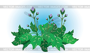 Burdock - vector clip art