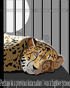 Cheetah in cage - vector clipart