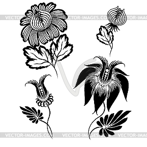 Floral design elements - vector clipart