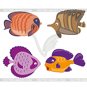 Tropical fish - vector image