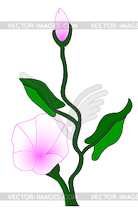Садовый цветок - цветной векторный клипарт