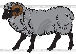 Big ram - vector image