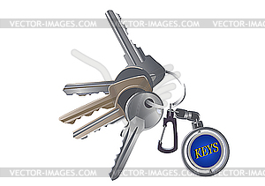 Set of various keys on charm - vector image