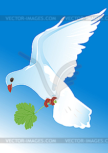 Pigeon - vector clipart / vector image