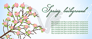 Spring background - color vector clipart