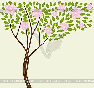 Tree - royalty-free vector image