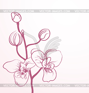 Spring flowers in line-art style - vector clipart