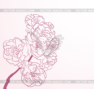 Cherry flowers in line-art style - vector clip art