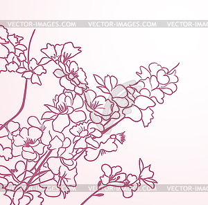 Red sakura flowers anstract lines - vector clipart