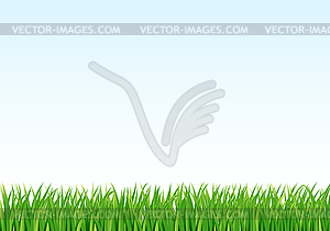 Grass and sky background - vector image