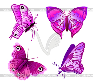 Set of purple butterflies  - vector image