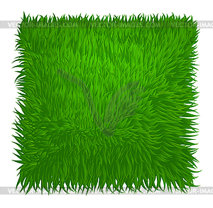 Green grass texture rectangle . illustra - vector image