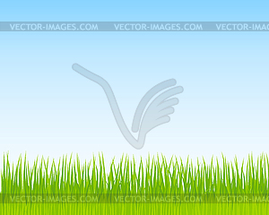 Green grass and blue sky background. Spring nature - vector image