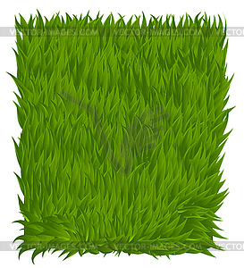 Green grass texture rectangle . illustra - vector clipart