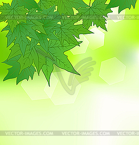 Natural background with green leaves - vector clip art