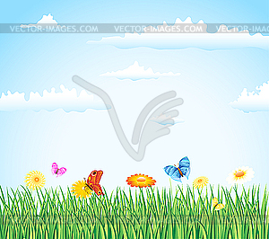 Grass with flowers and butterflies - vector clip art