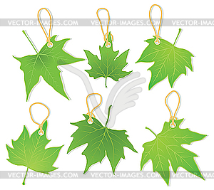 Leaves as labels - vector image