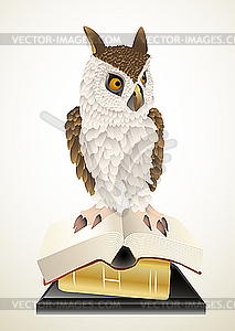 Owl and books - vector image