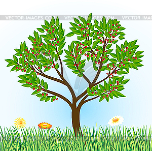 Cherry tree with grass and flowers - vector clipart